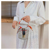 Summer Fashion Transparent Mini Tote Bags Women's Designer Acrylic Handbags with Polyester Lining Jelly Metal Style